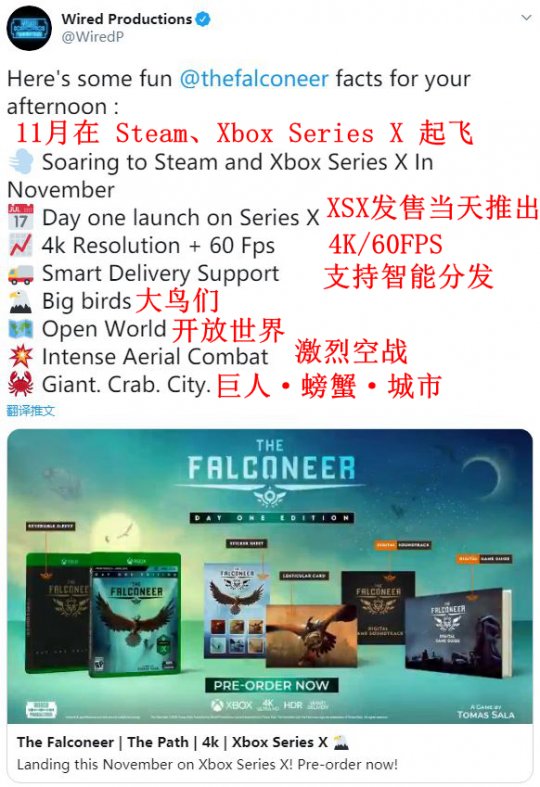 驭鸟空战《猎鹰者》11月登陆Steam、Xbox Series X