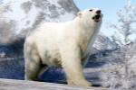 腐蚀销量已超过1240万份 官方将加入北极熊
