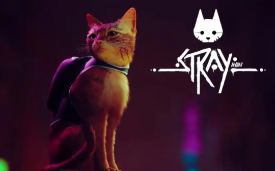 《迷失stray》评测：猫猫模拟器上线，拯救陷入迷茫的赛博城市