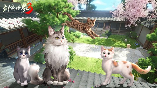 ����è�� ������Ϯ