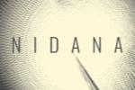 NIDANASteam ټξ̽