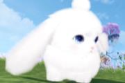 倩女幽魂手游 全新永久坐骑【思明月】来袭