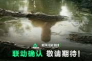 《三角洲行动》x《合金装备3：重制版》联动