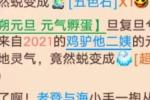 话说这是谁的二姨?超级元气丹到手啦!