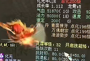超一线中的超一线！小哥66珍藏召唤兽大秀
